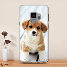 TPU Case for Samsung Galaxy S9 Case Silicone luxury Funda for Samsung Galaxy S9+ S9 Plus Case Cover for Samsung S9 + Capa Cute